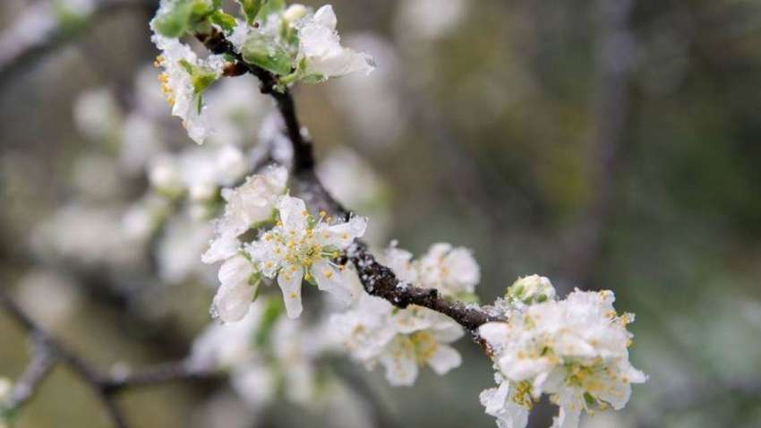 Синоптики розповіли, де в Україні сьогодні випаде сніг