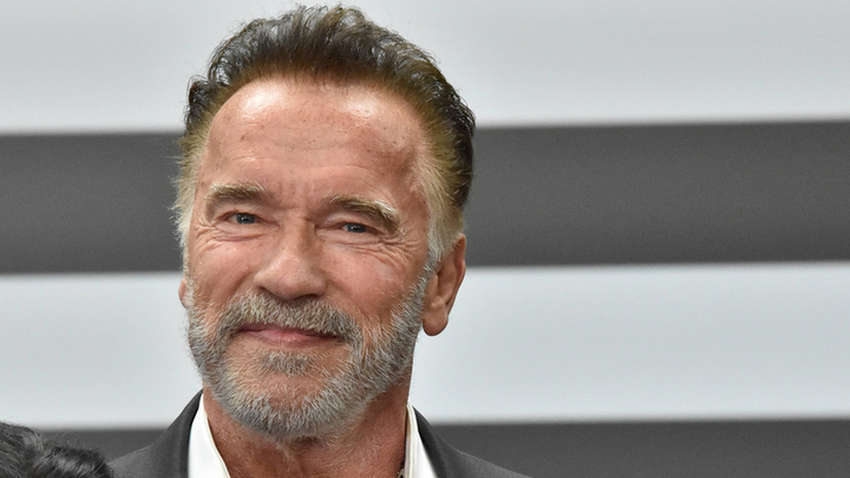 Дочь Арнольда Шварценеггера впервые стала мамой Дочь Арнольда Шварценеггера впервые стала мамой