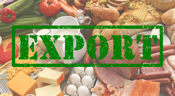 Экспорт украинской сельхозпродукции на четвертый год войны: как изменилась география и конъюнктура товаров