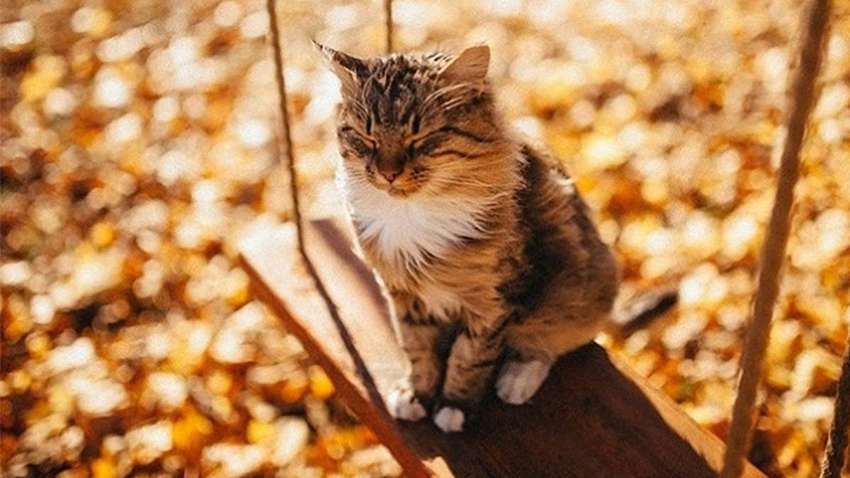 Прогноз погоди на 10 вересня