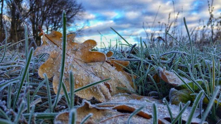 Налетят морозы: когда в Украине сильно похолодает
