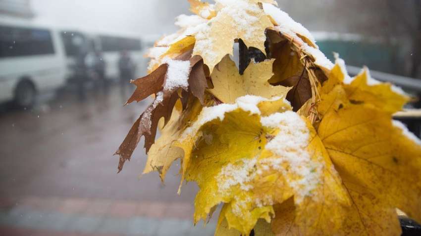 Солнечно, морозно, местами снег - погода на 22 ноября Солнечно, морозно, местами снег - погода на 22 ноября