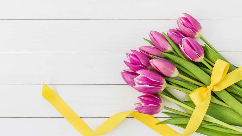 77% українців планують святкувати 8 березня — соцопитування