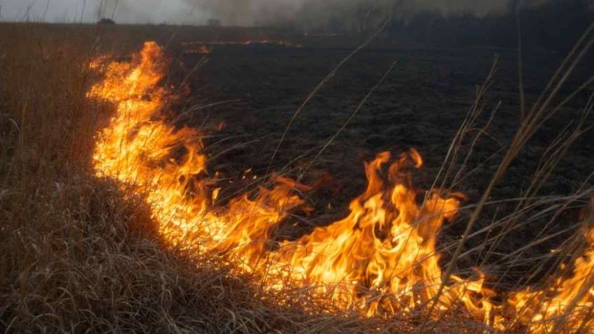 Верховная Рада ужесточила наказание за поджог травы