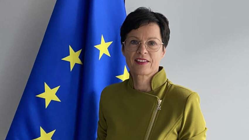 В Брюсселе ответили, поддерживают ли скорое вступление Украины в ЕС В Брюсселе ответили, поддерживают ли скорое вступление Украины в ЕС