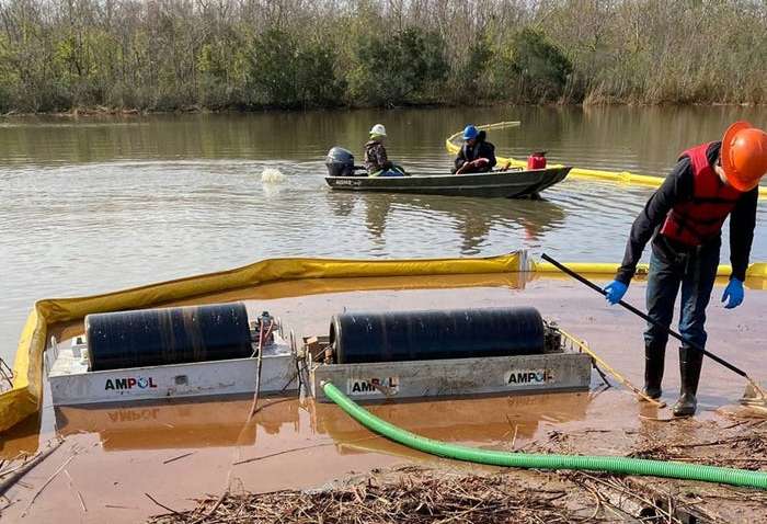 В США из-за разлива топлива погибли тысячи животных: что повлекло за собой экологическую катастрофу