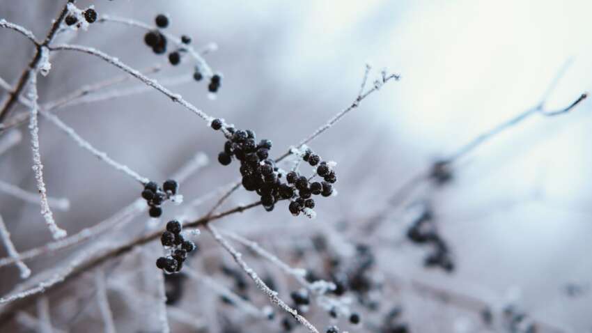 Какой церковный праздник 8 января: что лучше не делать до обеда