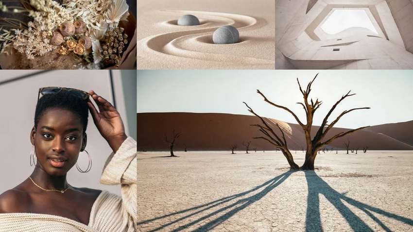 Какие цвета будут популярны в 2021 году по версии Shutterstock Какие цвета будут популярны в 2021 году по версии Shutterstock