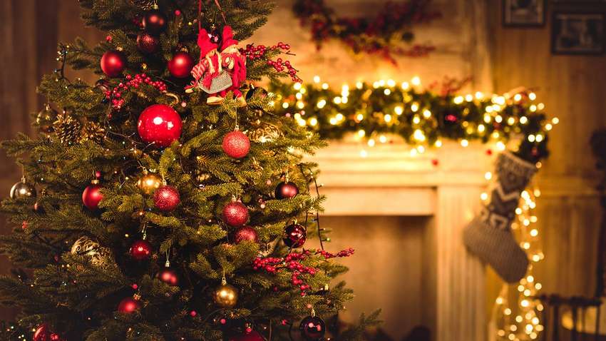 Автентично и трогательно: Пономарев, Билык, Тина Кароль, Dzidzio, Скрипка спели "Нова радість стала" Автентично и трогательно: Пономарев, Билык, Тина Кароль, Dzidzio, Скрипка спели "Нова радість стала"