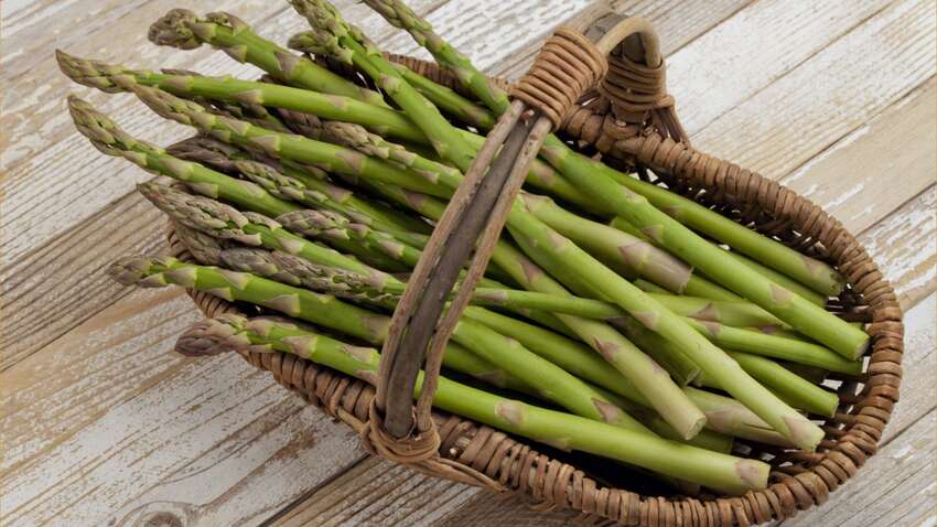 Виростити спаржу дуже просто: блогерка поділилася унікальними порадами