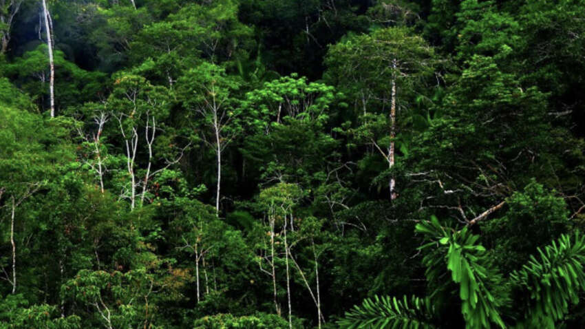 В Африці фіксують явище, якого ніхто не очікував: що говорять вчені В Африці фіксують явище, якого ніхто не очікував: що говорять вчені