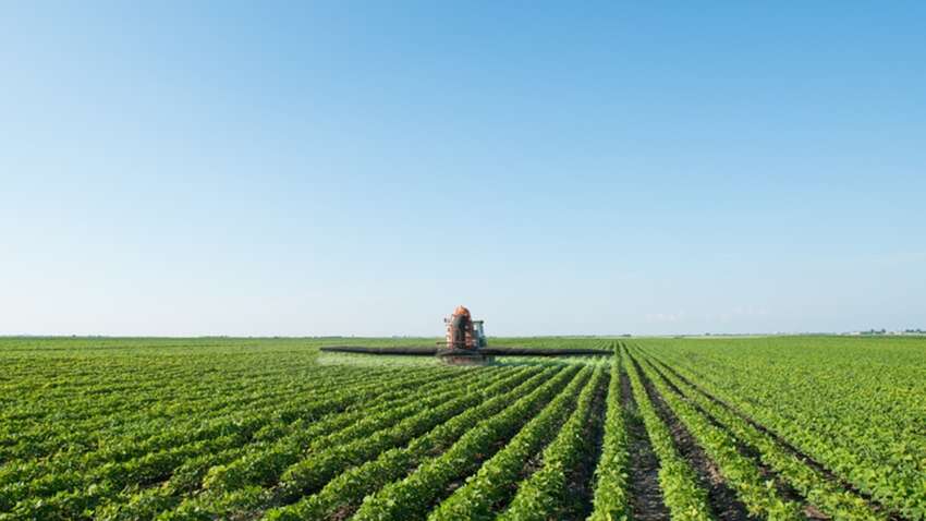 Статистика неумолима: какая ситуация с агропредприятиями в Украине