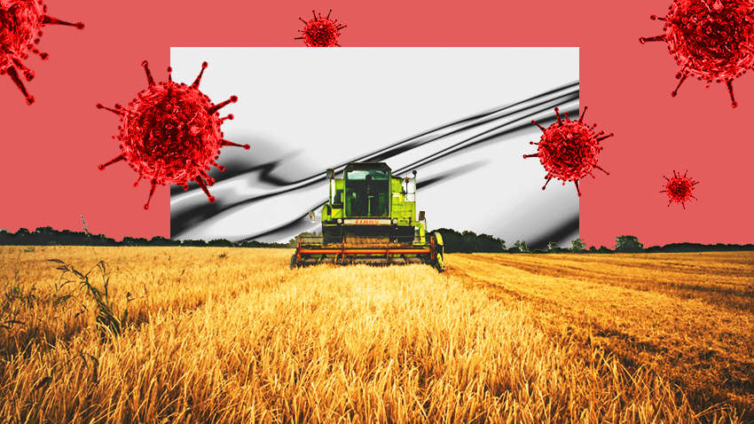 Пандемия и сельское хозяйство: достижения и потери отрасли в 2020 году Пандемия и сельское хозяйство: достижения и потери отрасли в 2020 году