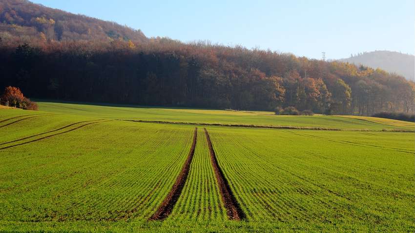 Министр агрополитики рассказал, как купить землю и какая ее цена 
