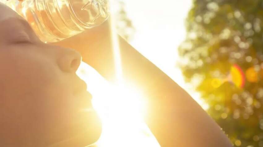 10-річна дитина відвідала Версаль у спеку: через годину сталася трагедія