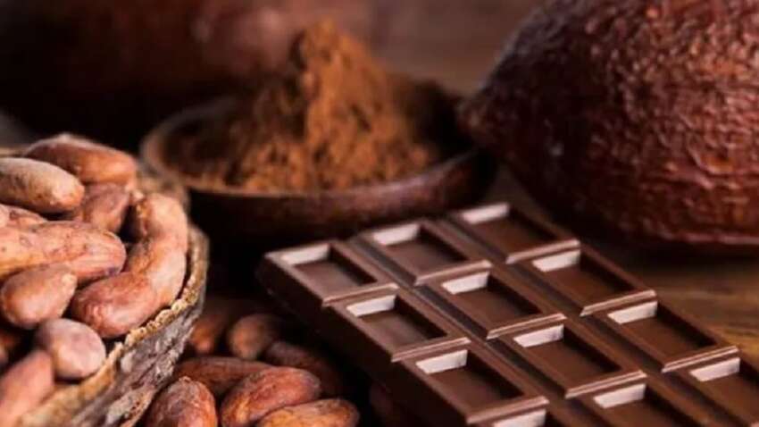 Как шоколад замедляет темпы старения: это открытие шокирует каждого Как шоколад замедляет темпы старения: это открытие шокирует каждого