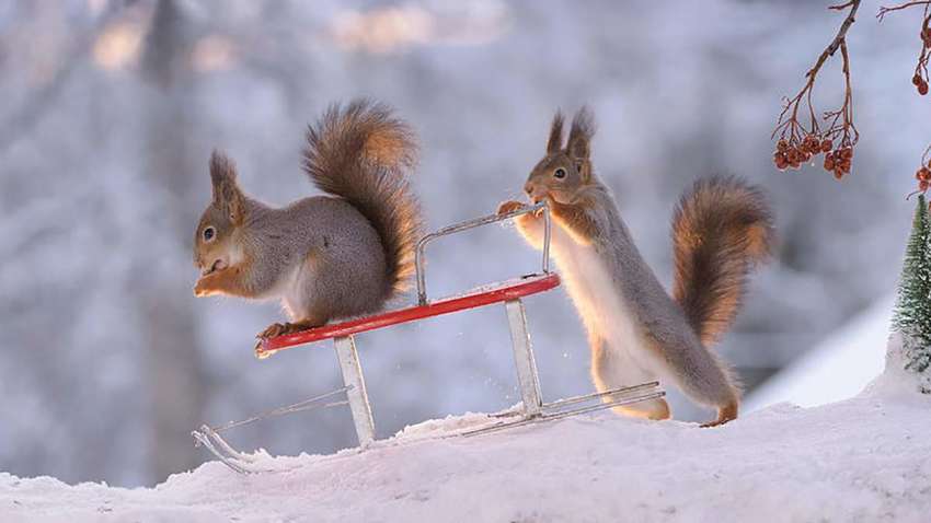 Потепление и морозы: какой будет погода в Украине в феврале Потепление и морозы: какой будет погода в Украине в феврале