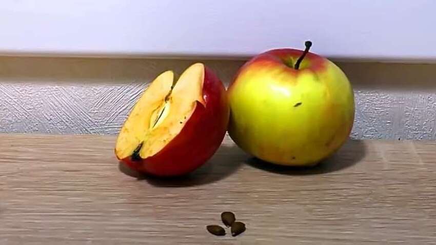 Почему яблоки могут вызвать тошноту, головокружение и проблемы с дыханием Почему яблоки могут вызвать тошноту, головокружение и проблемы с дыханием