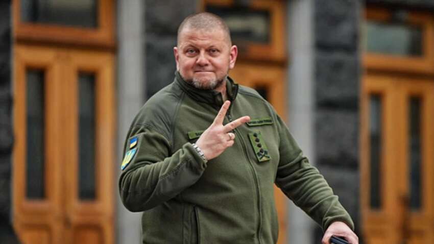 Политолог: странные лайки от Залужного в соцсетях