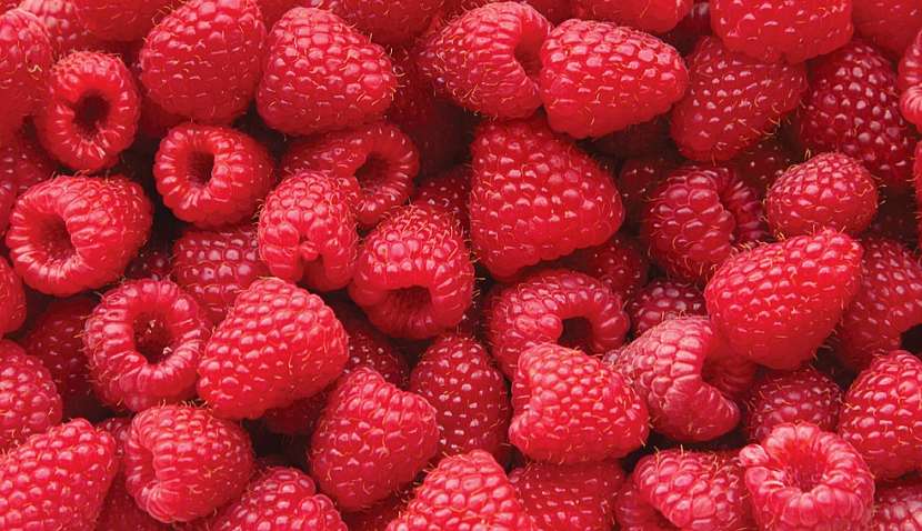 Солодкий лікар - малина Солодкий лікар - малина