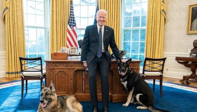 Овчарка Байден, Мейджор, часто кусала сотрудников Белого дома