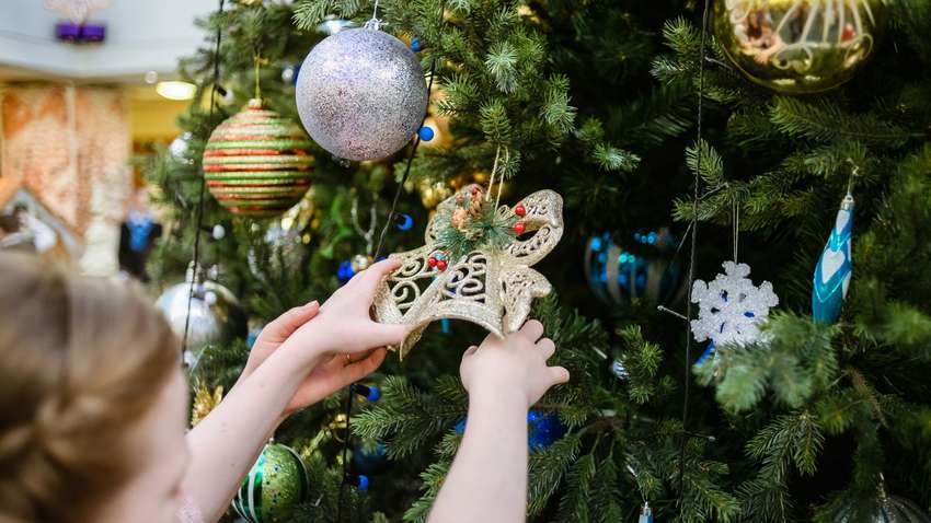 Обнародованы главные правила безопасного празднования Нового года