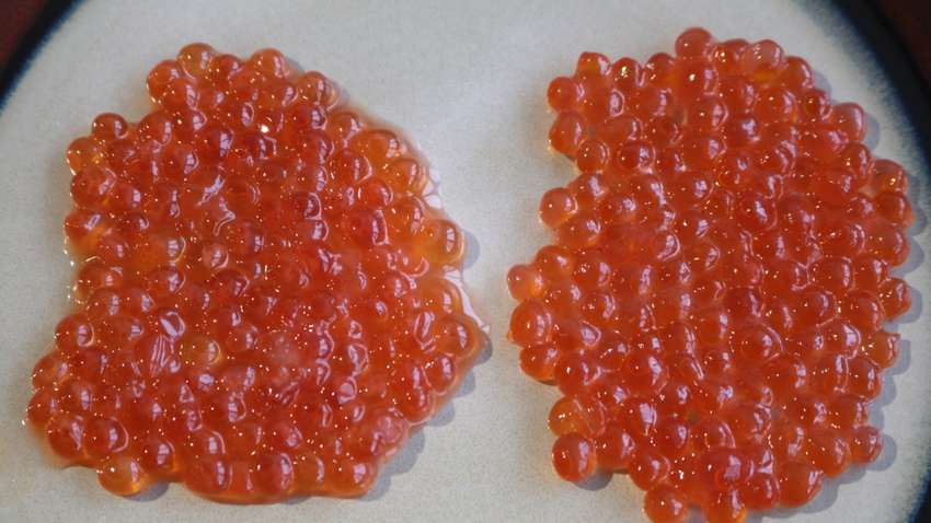 Три способа определить поддельную красную икру 