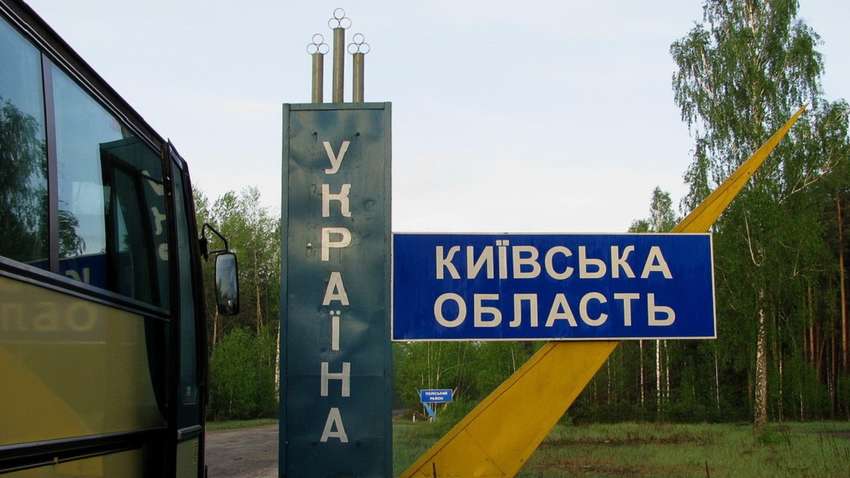 Село на Киевщине атакуют животные: какой вред наносят жителям Село на Киевщине атакуют животные: какой вред наносят жителям