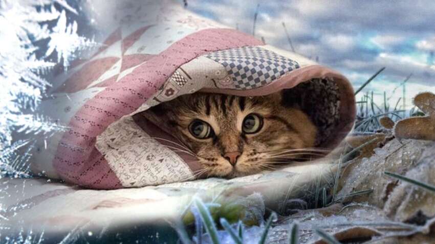 Лютий готує нечуване випробування для українців: таких рекордів не пам'ятає ніхто Лютий готує нечуване випробування для українців: таких рекордів не пам'ятає ніхто