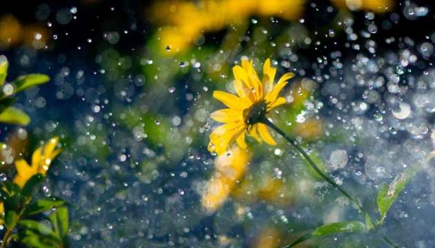 Синоптики розповіли, які регіони України накриє дощем