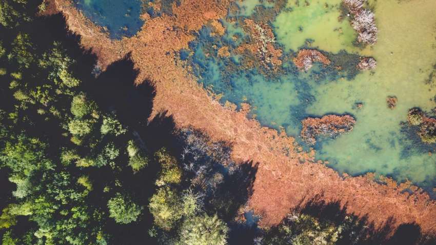 Почему разговоры об экологии раздражают людей: научное исследование  Почему разговоры об экологии раздражают людей: научное исследование