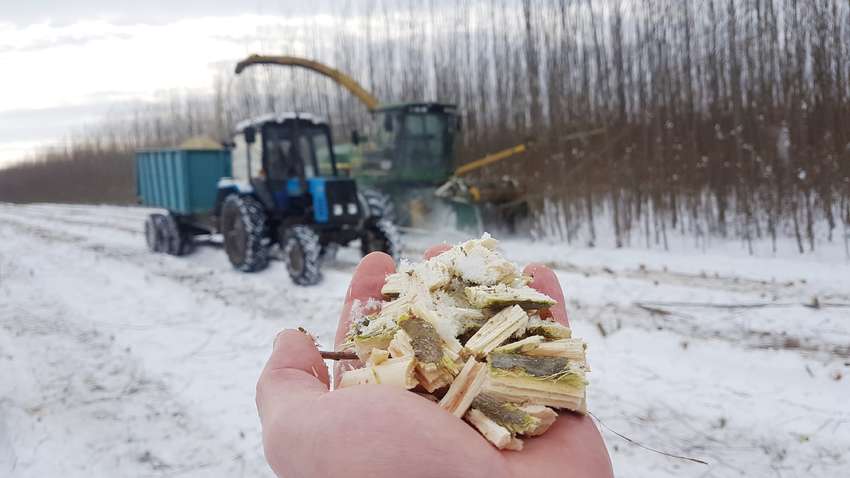 В Украине открыли новую ТЭС, работающую на иве: подробности (ФОТО) В Украине открыли новую ТЭС, работающую на иве: подробности (ФОТО)