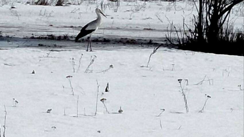 Церковный праздник 13 марта: что в этот день приносит здоровье