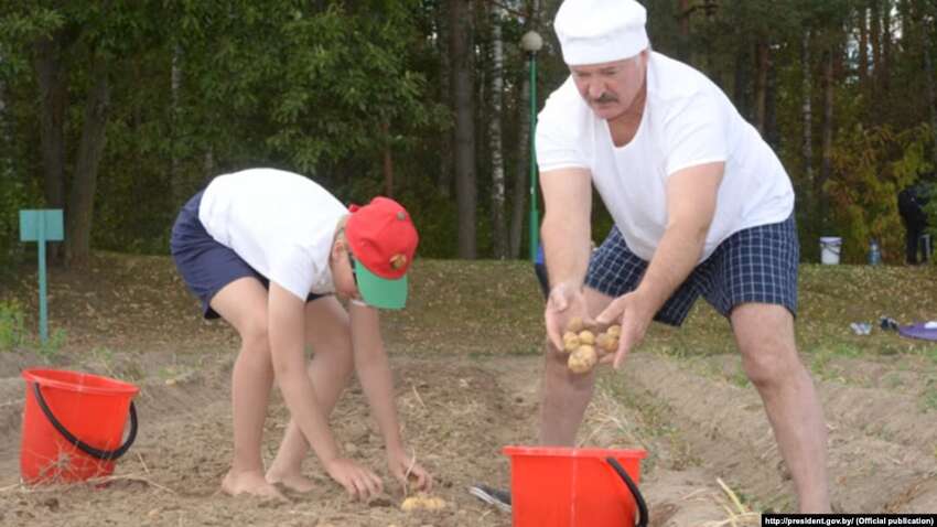 Такого еще не было: в Беларуси совсем исчез картофель Такого еще не было: в Беларуси совсем исчез картофель
