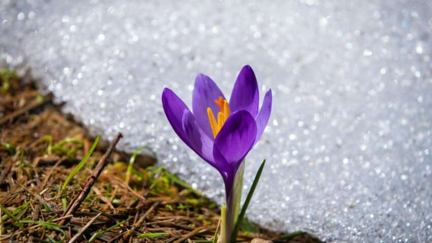 Церковный праздник 10 марта: с чем нужно быть осторожным в этот день