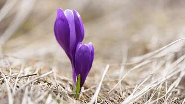 Необычная дата 31 марта: что можно и нельзя делать сегодня