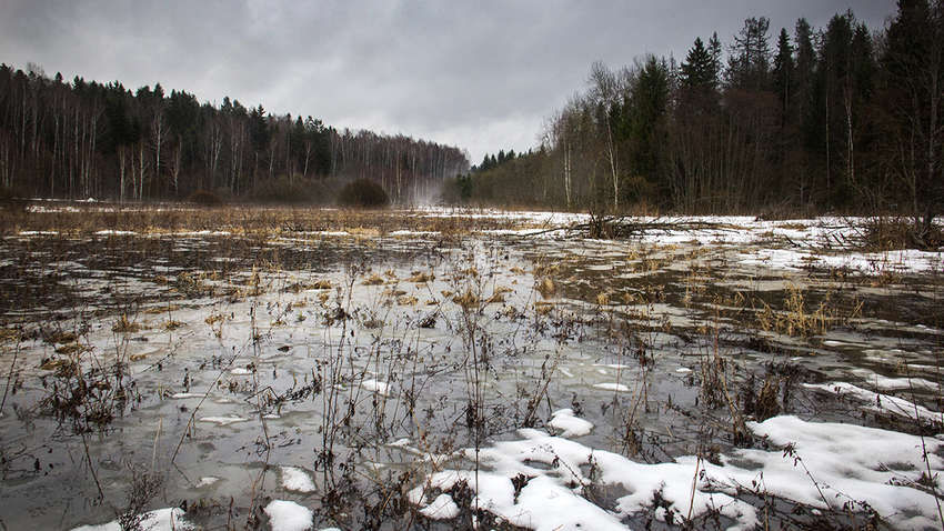 Погода впливає на плани наступу Росії: військові аналітики висунули теорію, чому Кремль не атакує