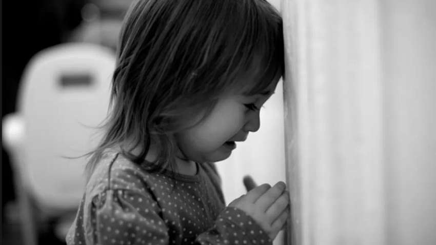 Викрали дочку депутата: що відомо про затриманих Викрали дочку депутата: що відомо про затриманих