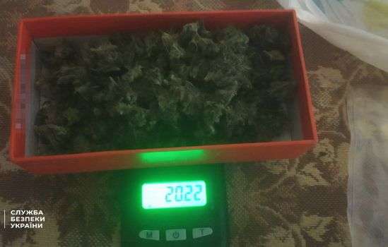 СБУ викрила військового курсанта на збуті наркотиків