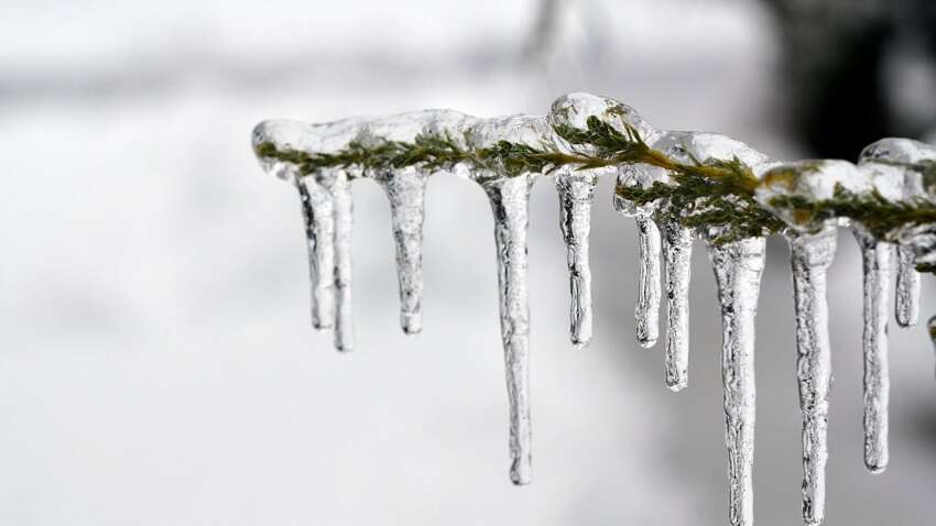 «Нам продержаться три ночи и три дня»: Наталья Диденко анонсировала потепление после сильных морозов
