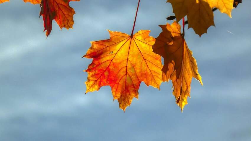 Церковный праздник 18 сентября: три главных запрета этого дня Церковный праздник 18 сентября: три главных запрета этого дня