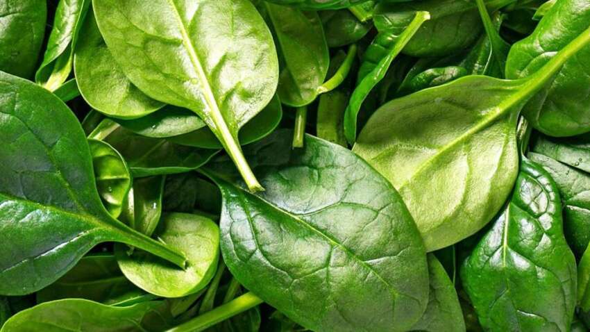 Ця популярна зелень залишає дивний наліт на зубах