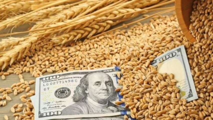 Страна, поддерживающая Украину в войне, оказалась среди тех, кто покупает зерно, украденное Россией