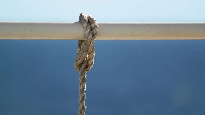 У Запорізькій області зниклу безвісти жінку знайшли мертвою: подробиці