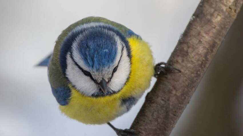 Пик аномального холода позади: украинцев ошарашили заявлением об изменениях в погоде 