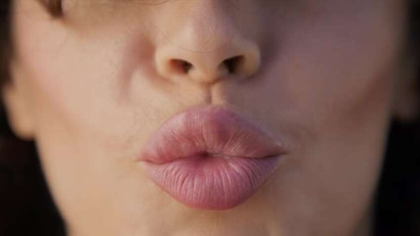 Ученые определили дату первого поцелуя: он не был человеческим Ученые определили дату первого поцелуя: он не был человеческим