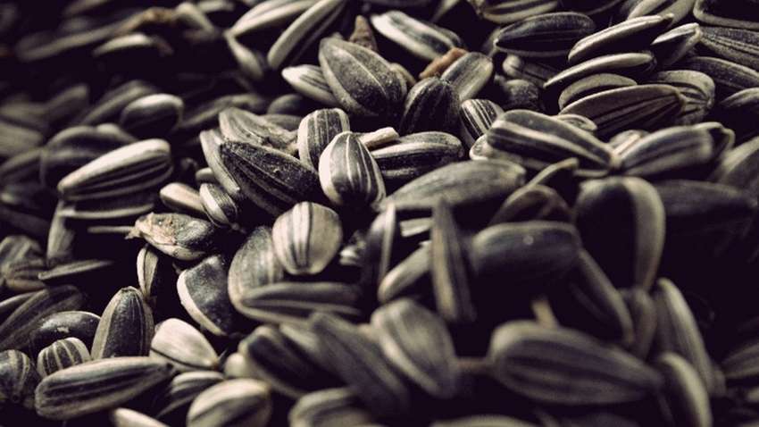 Названо п'ять продуктів з високим вмістом селену