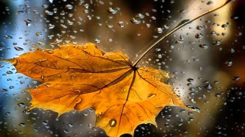 Прогноз негоди: в Україну йдуть затяжні дощі