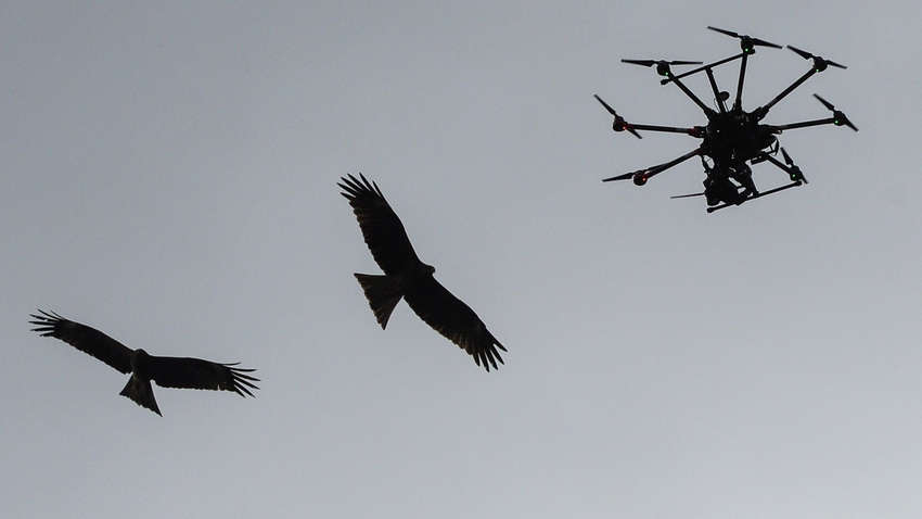 Дрон допоміг виявити злочинця, який переховувався 17 років