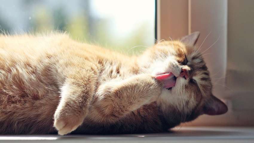 Літнього тепла не треба чекати: чи зміниться погода в Україні